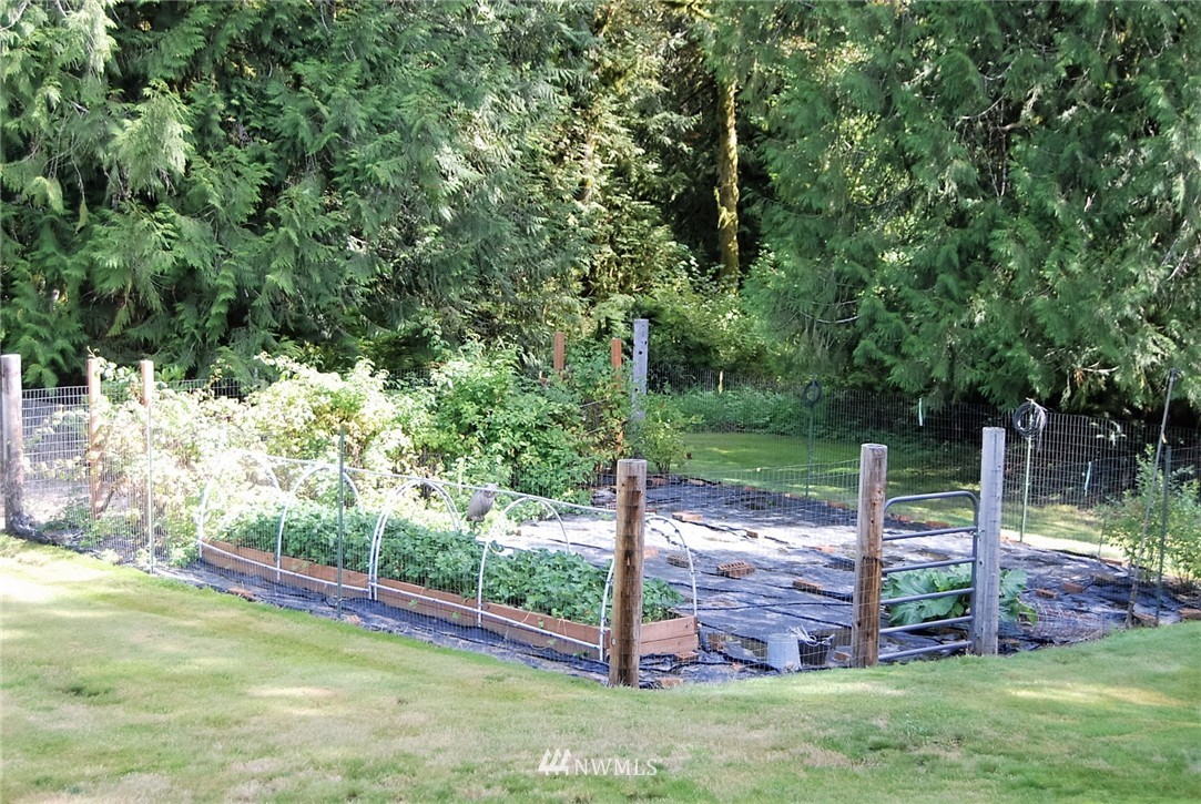 170 Dodge Road Morton, WA 98356 - Photo 9 of 25 Gallery Image 9