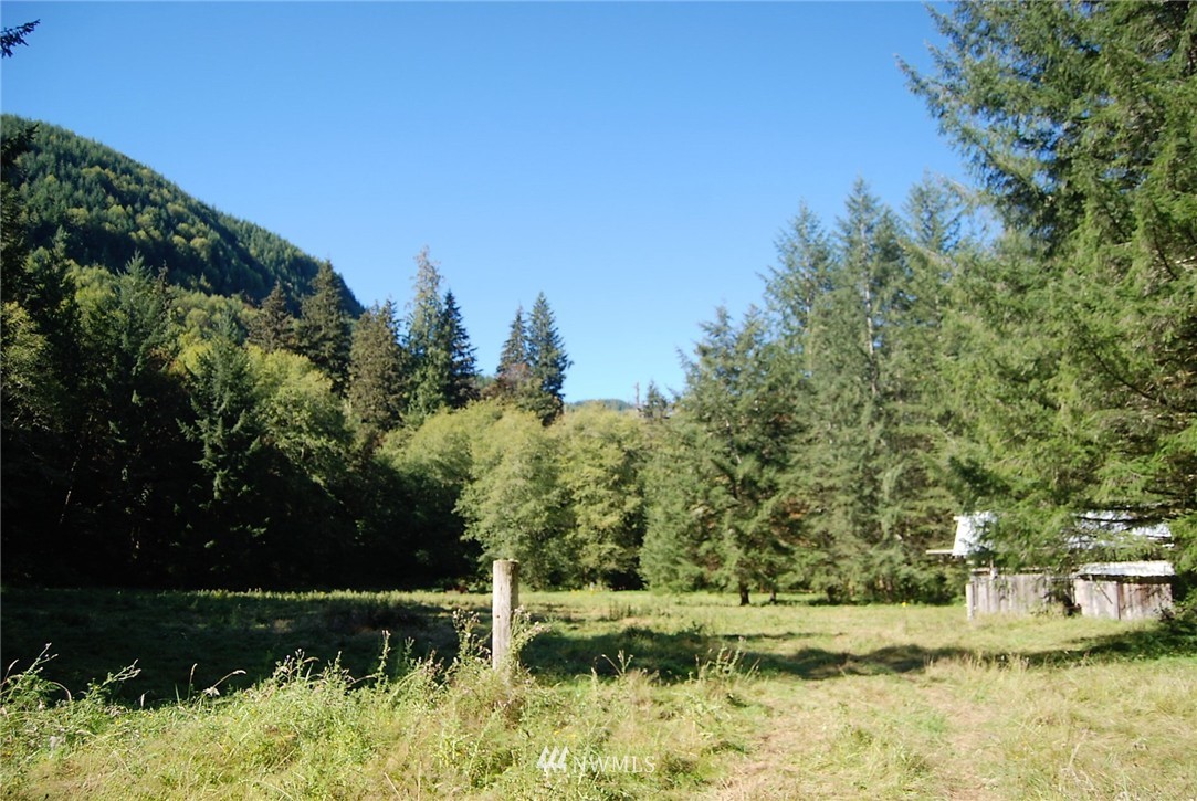 170 Dodge Road Morton, WA 98356 - Photo 10 of 25 Gallery Image 10
