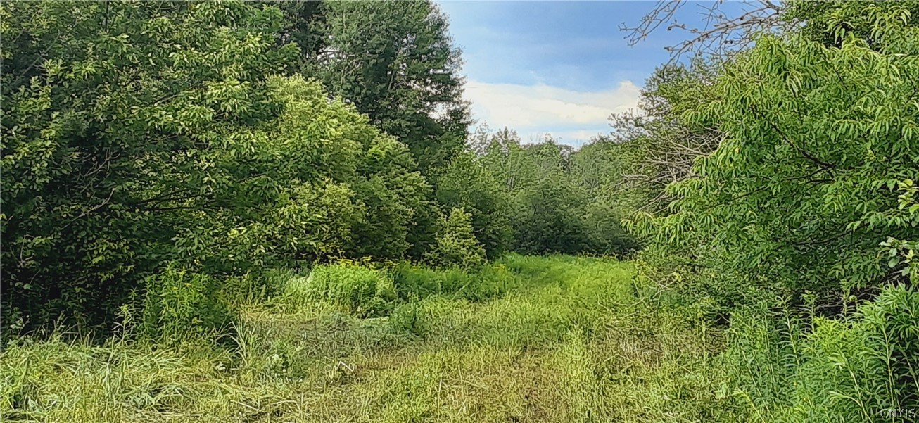 271 Snyder Road Newport, NY 13416 - Photo 34 of 41