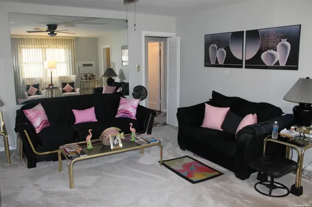 a living room with furniture rug and window