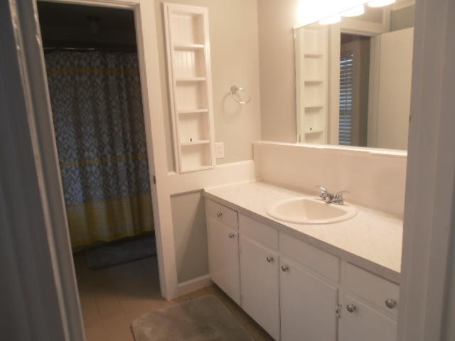 58 Meander Row Charleston, SC 29412 - Photo 35 of 46 P1010102