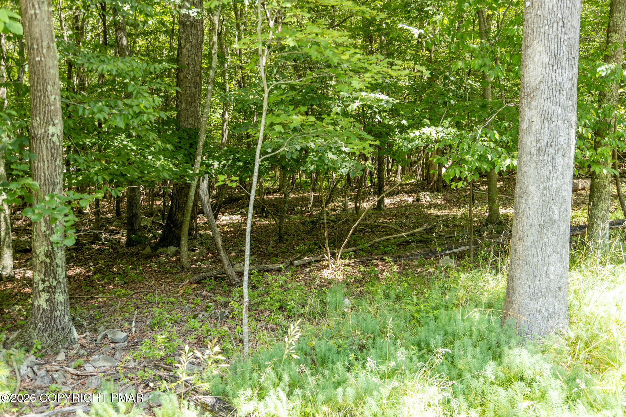 0 Coolbaugh Road East Stroudsburg, PA 18302 - Photo 11 of 18 a garden view