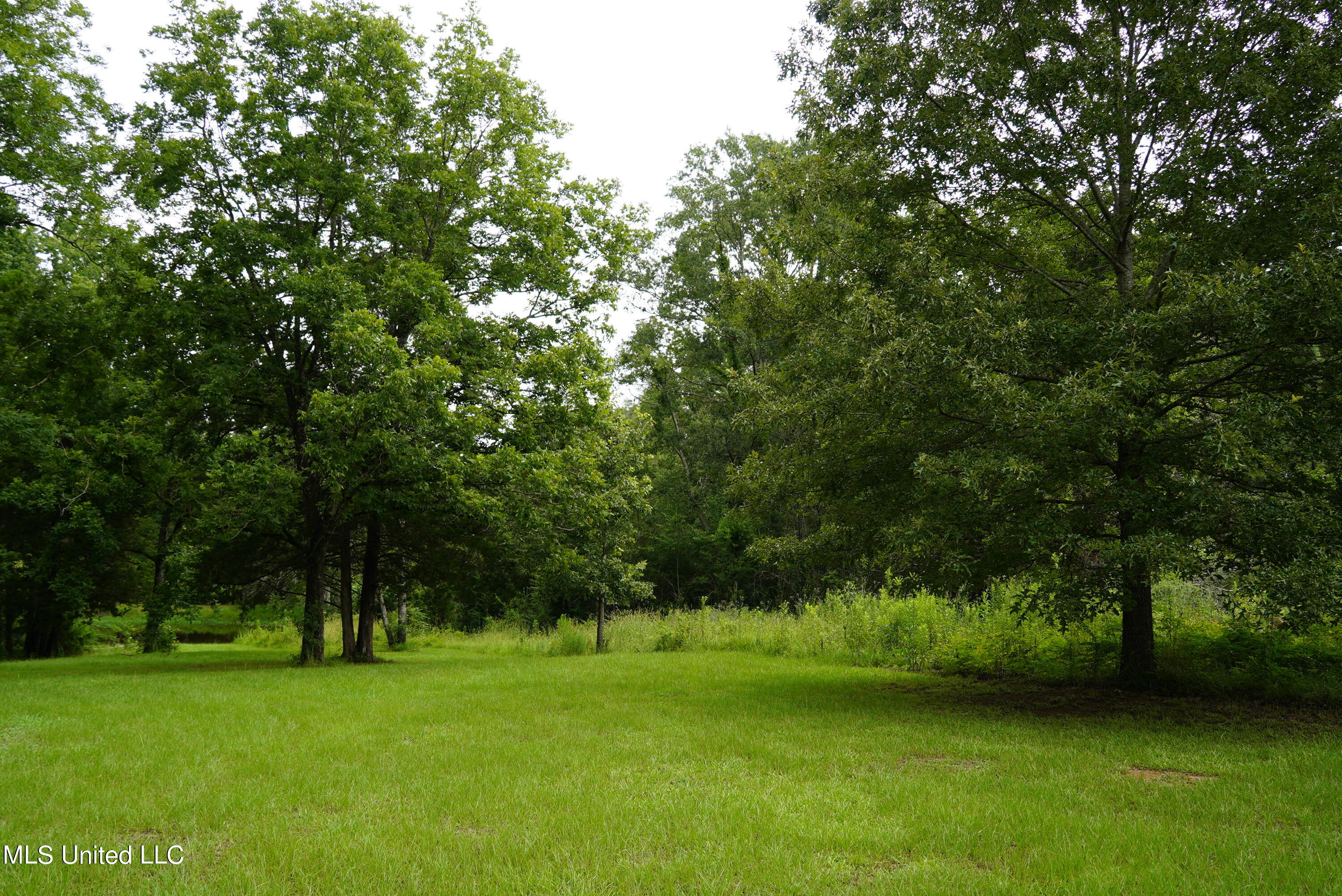 104 Cedar Ridge Road Raymond, MS 39154 - Photo 1 of 16 DSC00802