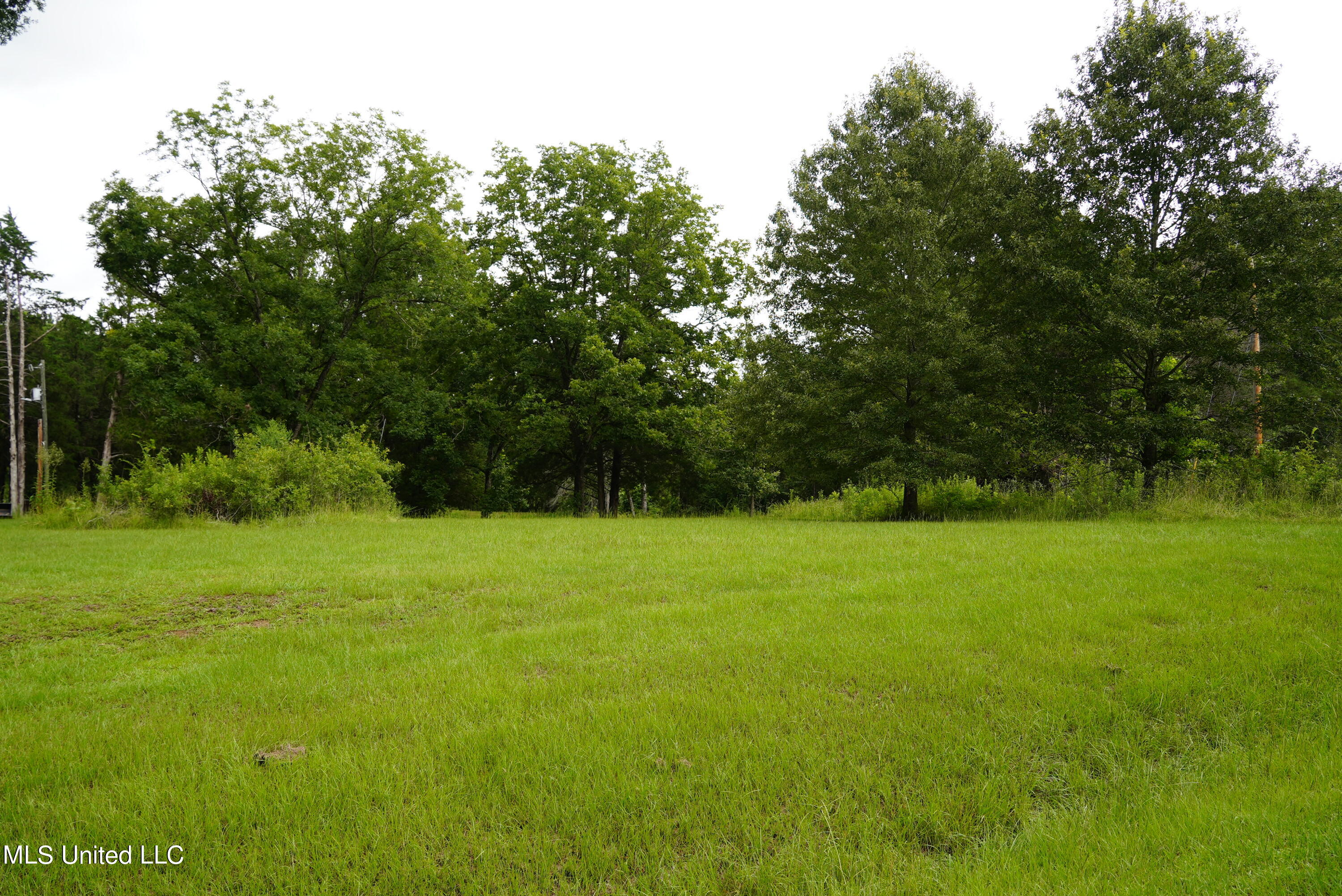 104 Cedar Ridge Road Raymond, MS 39154 - Photo 15 of 16 DSC00807