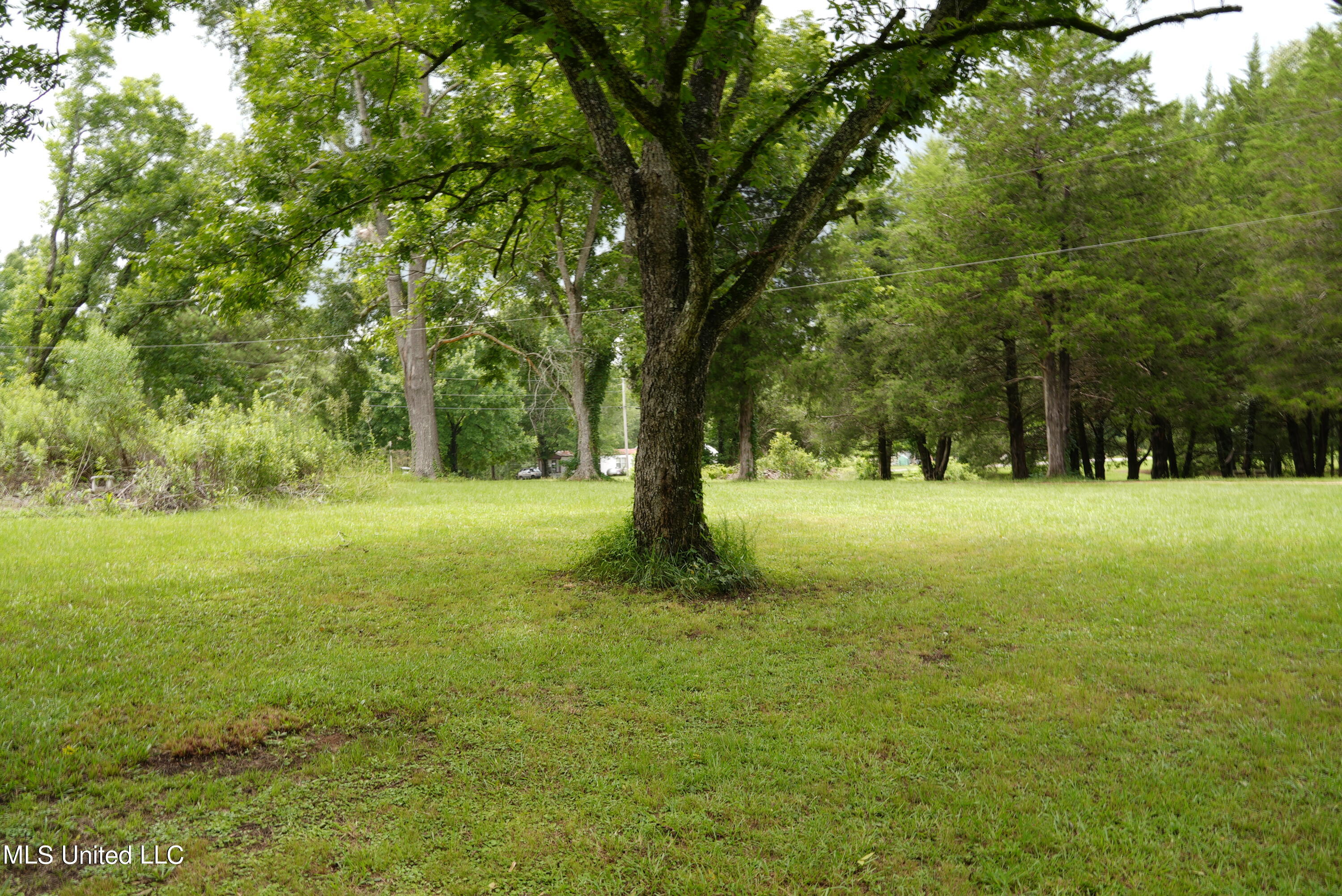 104 Cedar Ridge Road Raymond, MS 39154 - Photo 2 of 16 DSC00783