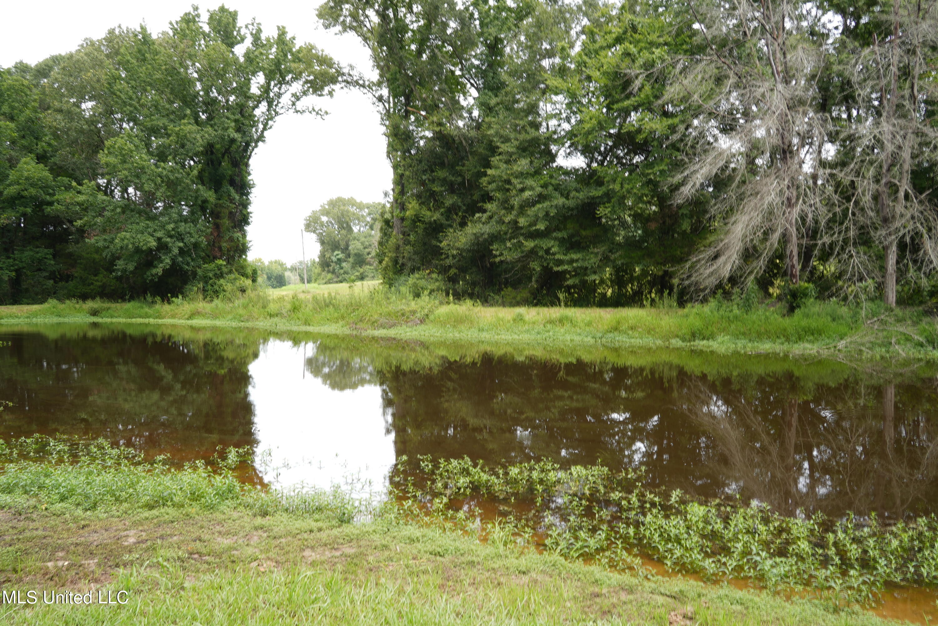 104 Cedar Ridge Road Raymond, MS 39154 - Photo 4 of 16 DSC00786