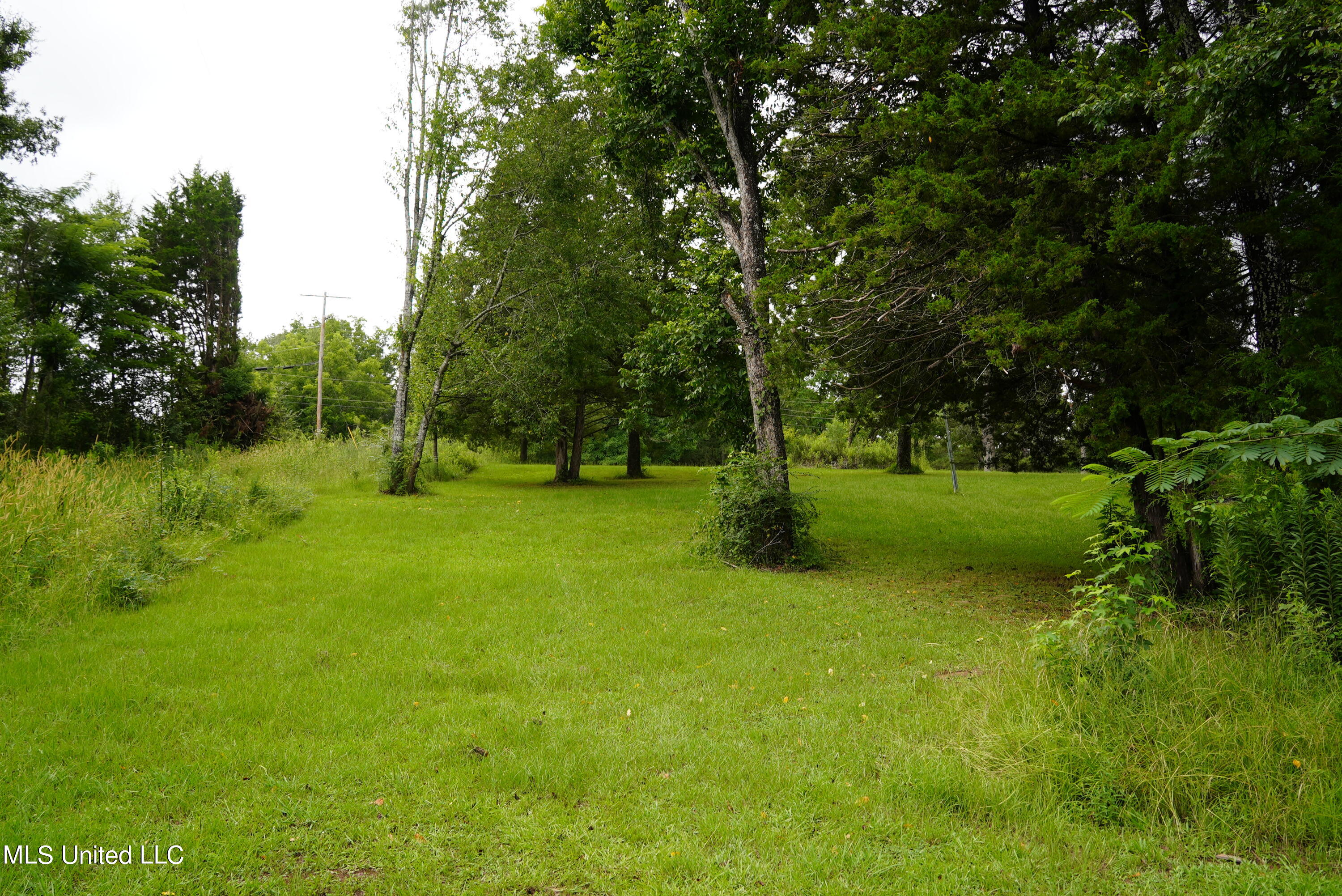 104 Cedar Ridge Road Raymond, MS 39154 - Photo 7 of 16 DSC00798