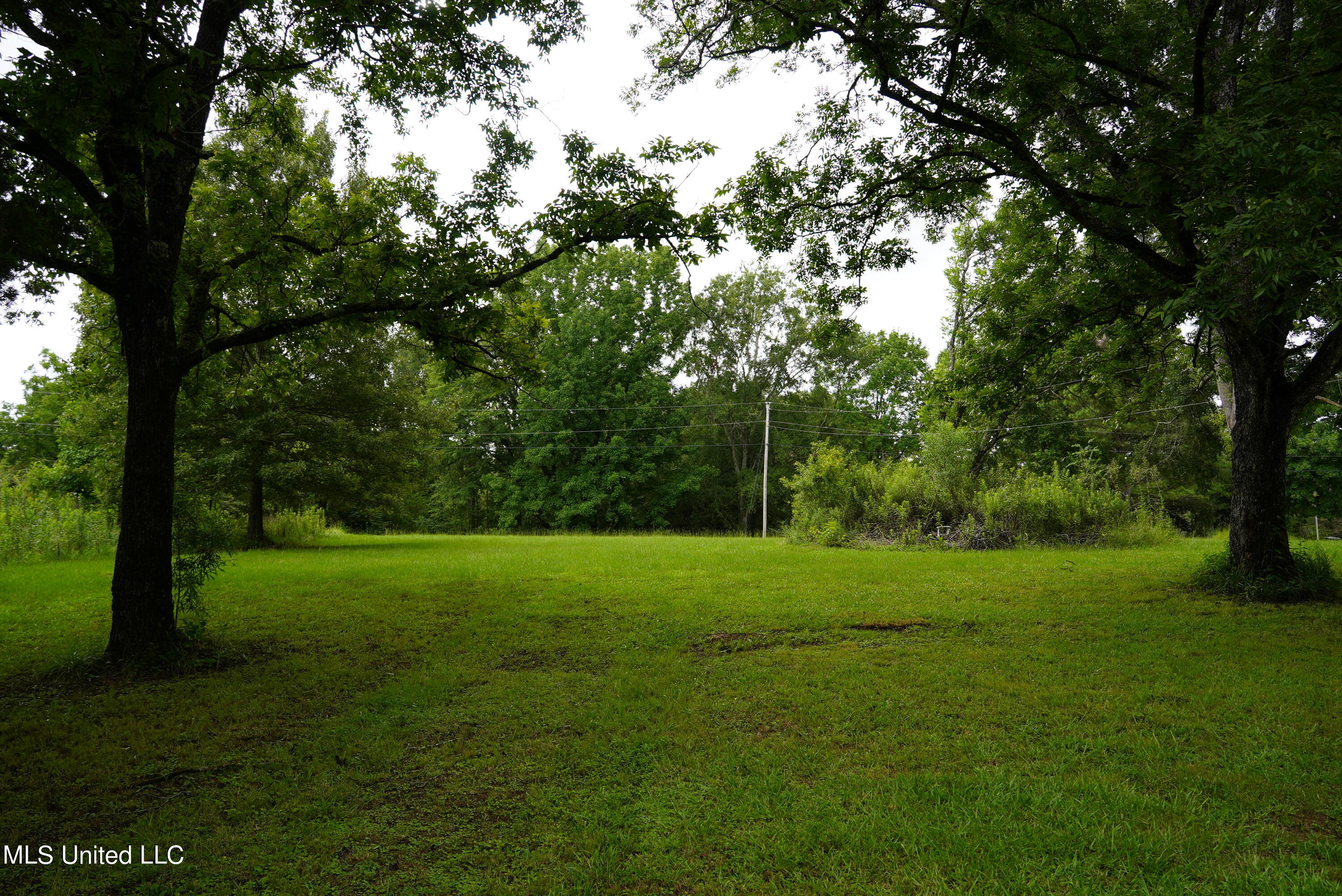 104 Cedar Ridge Road Raymond, MS 39154 - Photo 9 of 16 DSC00800