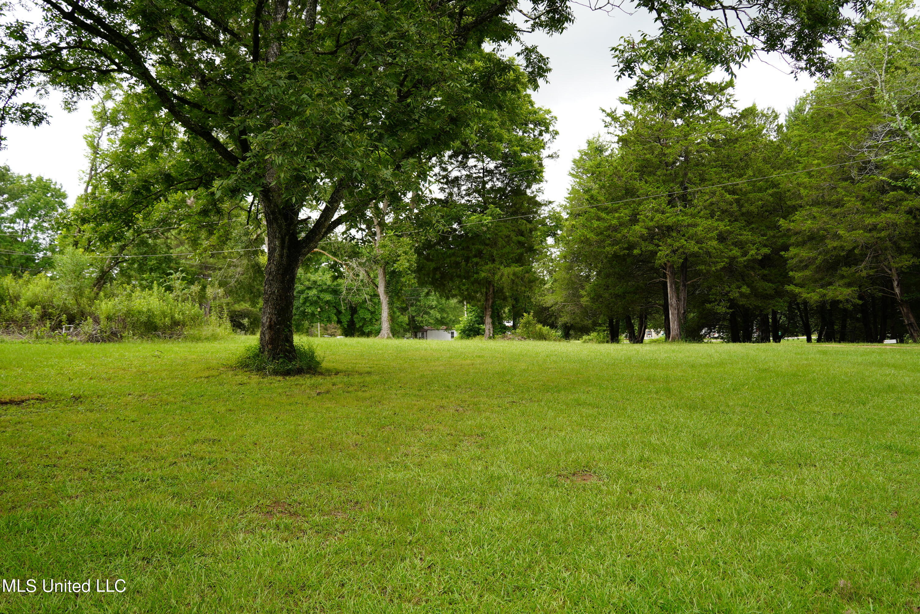 104 Cedar Ridge Road Raymond, MS 39154 - Photo 10 of 16 DSC00801