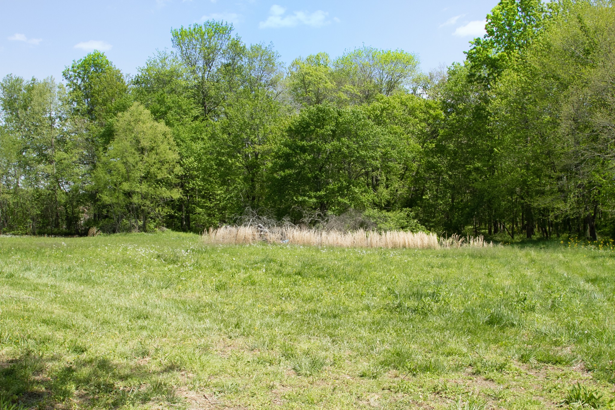 2555 Liverpool Road Woodlawn, TN 37191 - Photo 20 of 21 a view of outdoor space and yard