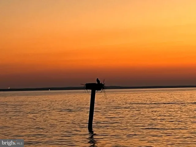 $929,000 | 15445 Potomac River Drive, Cobb Island, MD 20625