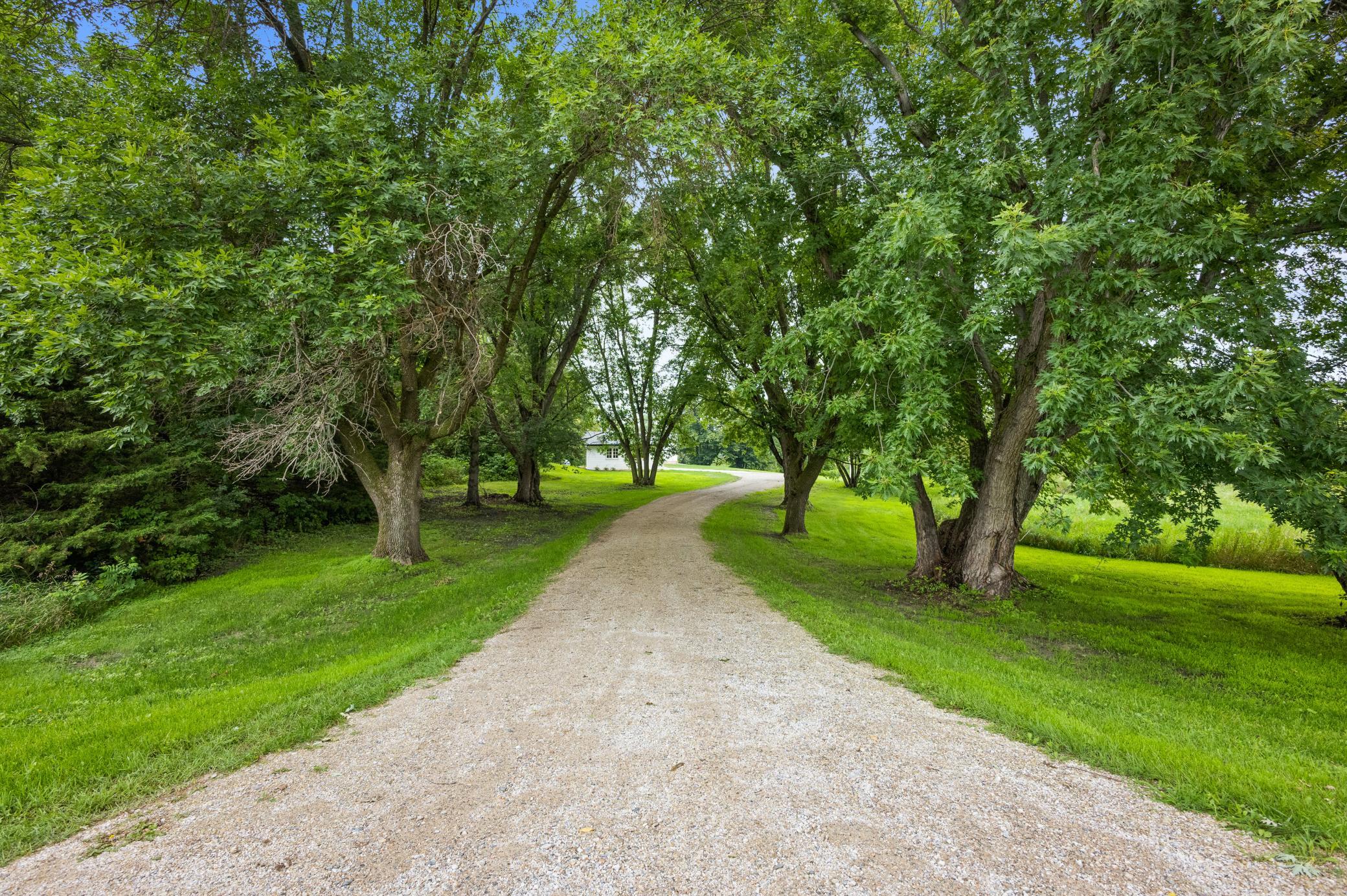 12923 Tanglewood Road Northwest Brandon, MN 56315 - Photo 13 of 44