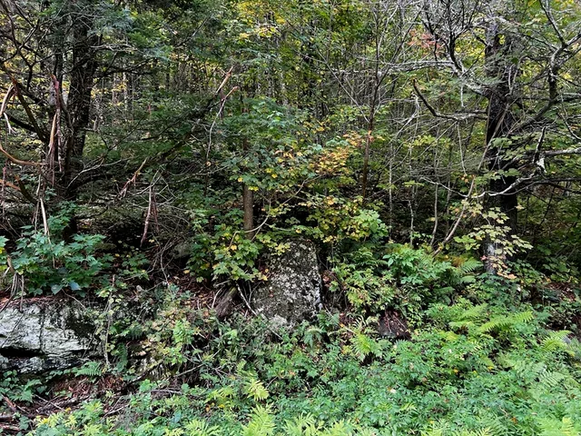 a close up of a sign