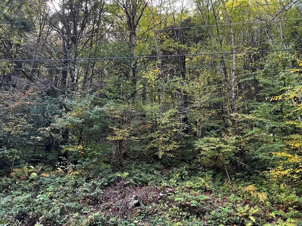 a view of a tennis court
