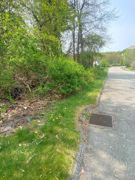 0 Camelot Circle Dudley, MA 01571 - Photo 4 of 6 a view of a yard with plants and a large tree