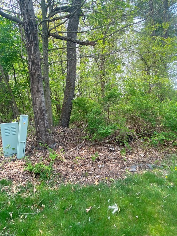 0 Camelot Circle Dudley, MA 01571 - Photo 5 of 6 a view of outdoor space and garden