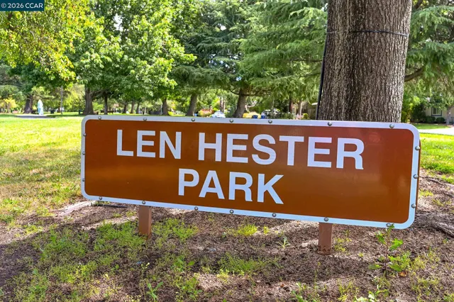 a view of a park with large trees