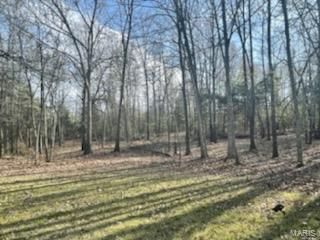 1055 H Highway Myrtle, MO 65778 - Photo 24 of 49