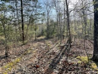 1055 H Highway Myrtle, MO 65778 - Photo 25 of 49