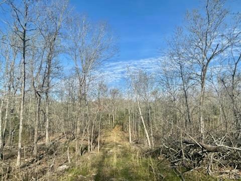 1055 H Highway Myrtle, MO 65778 - Photo 26 of 49