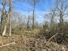 1055 H Highway Myrtle, MO 65778 - Photo 29 of 49