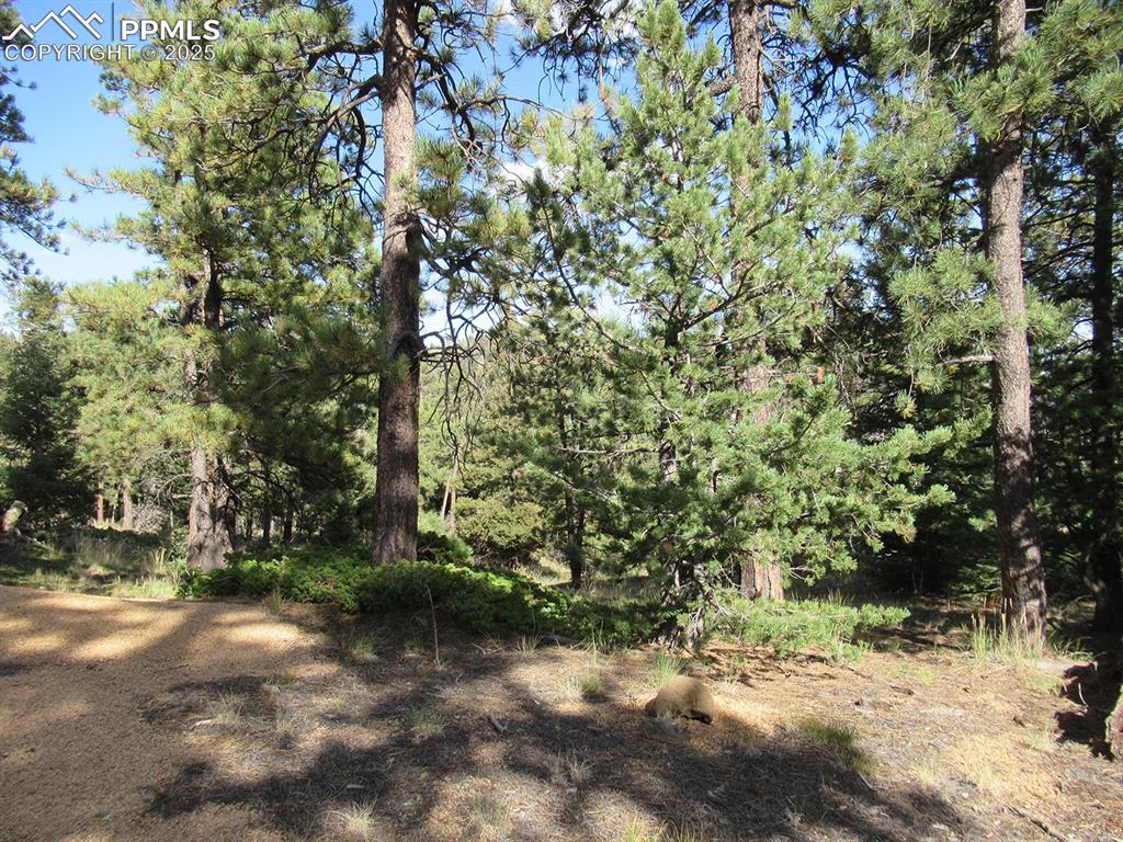 213 Coffee Pot Road Manitou Springs, CO 80829 - Photo 3 of 17