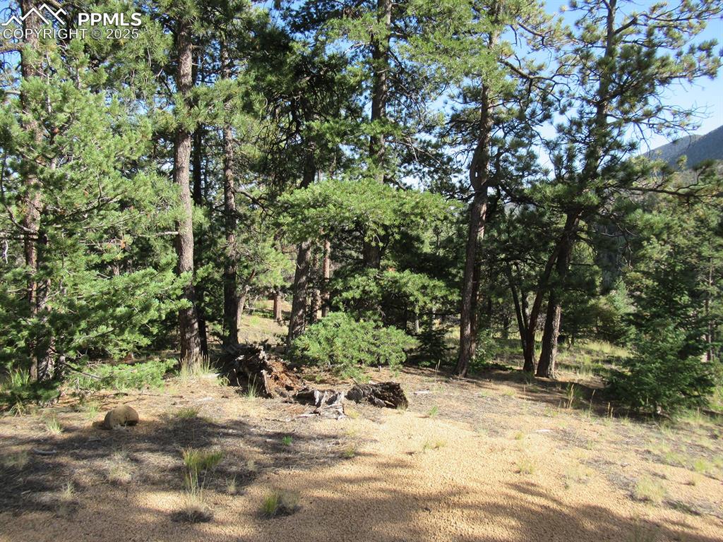 213 Coffee Pot Road Manitou Springs, CO 80829 - Photo 5 of 17