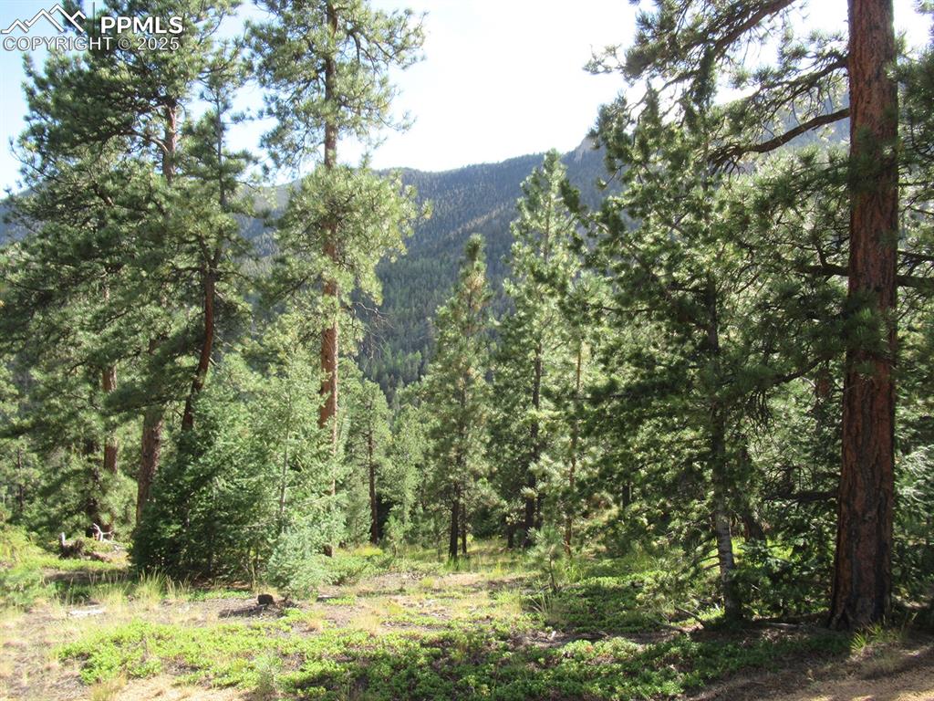 213 Coffee Pot Road Manitou Springs, CO 80829 - Photo 6 of 17