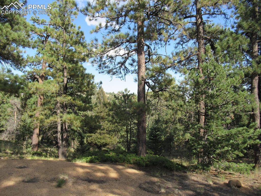 213 Coffee Pot Road Manitou Springs, CO 80829 - Photo 7 of 17