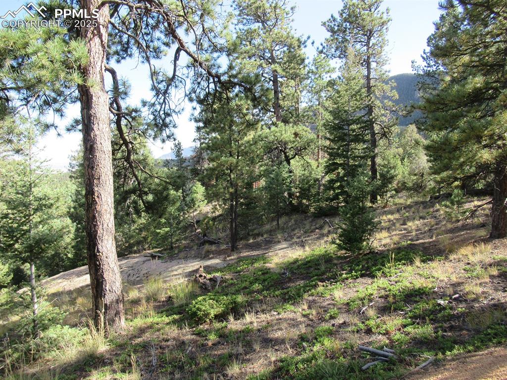 213 Coffee Pot Road Manitou Springs, CO 80829 - Photo 8 of 17