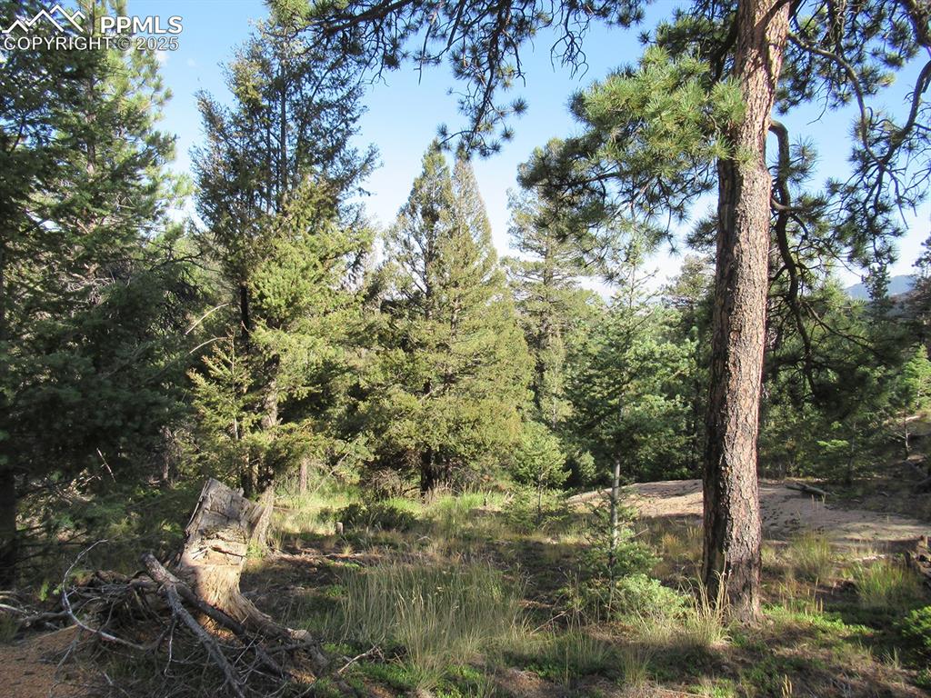 213 Coffee Pot Road Manitou Springs, CO 80829 - Photo 9 of 17