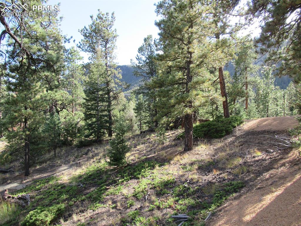 213 Coffee Pot Road Manitou Springs, CO 80829 - Photo 10 of 17