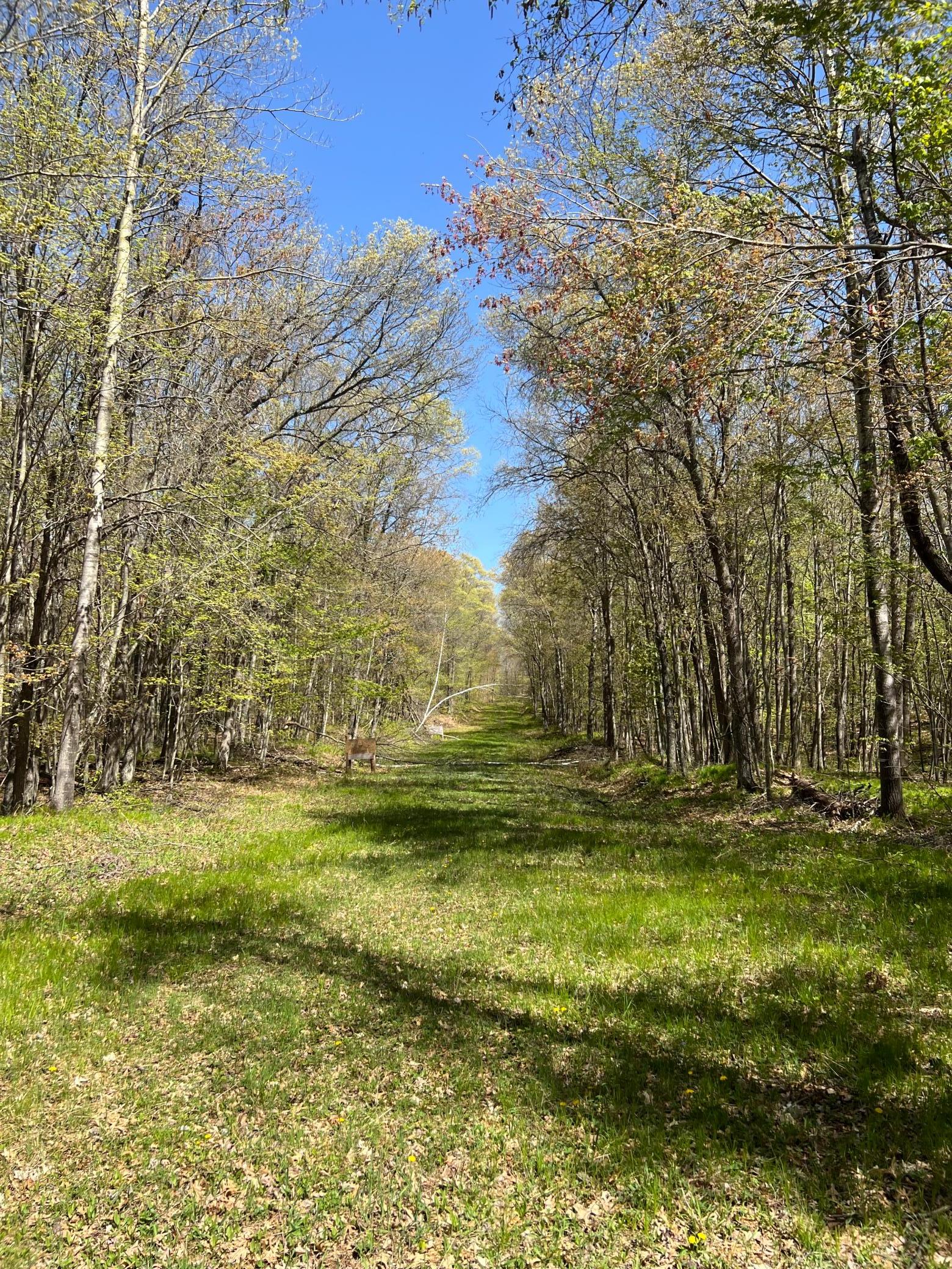 W6474 River Road Trego, WI 54888 - Photo 15 of 19