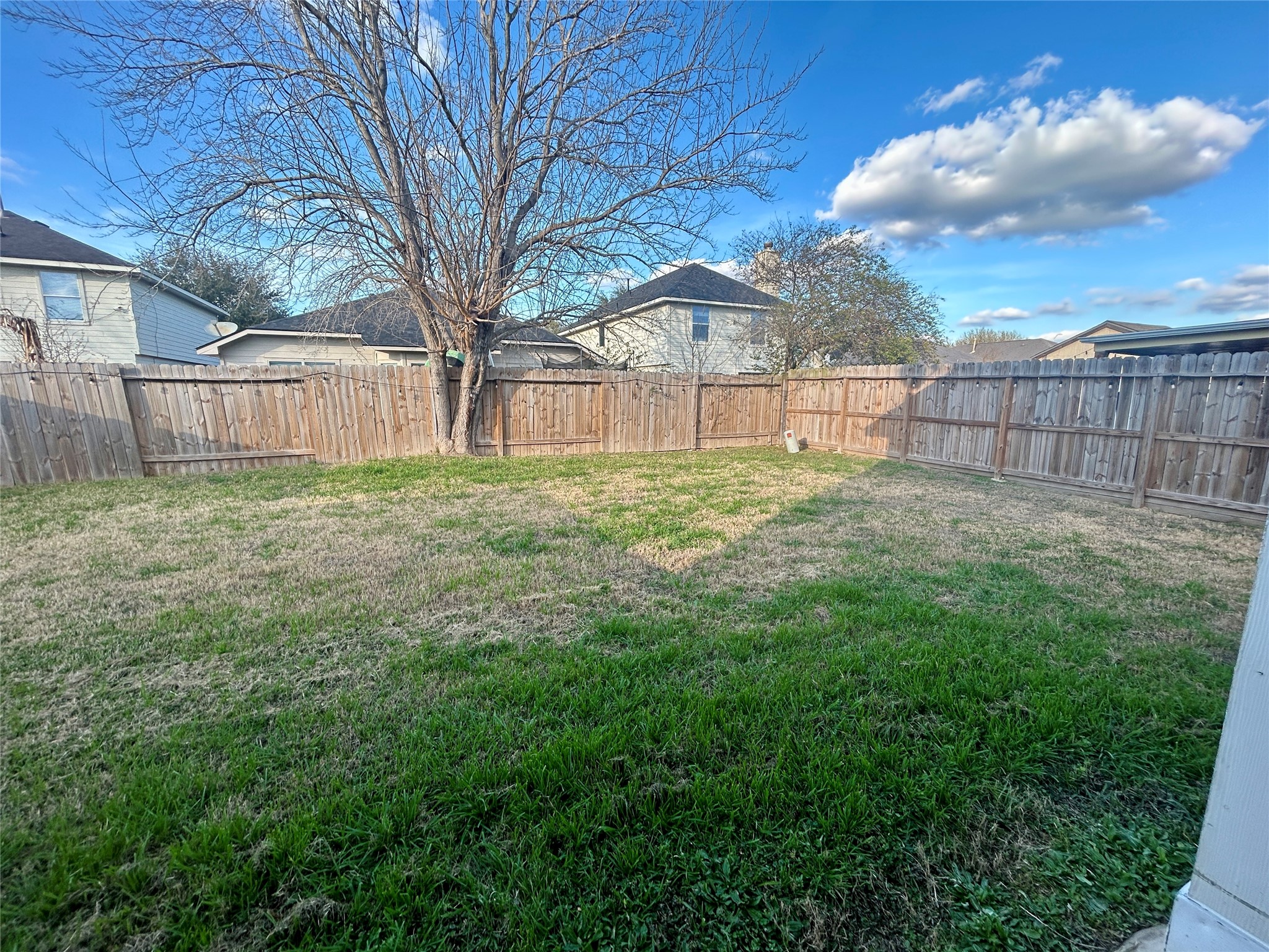 19718 River Pointe Lane Katy, TX 77449 - Photo 33 of 36 a view of a backyard with large trees