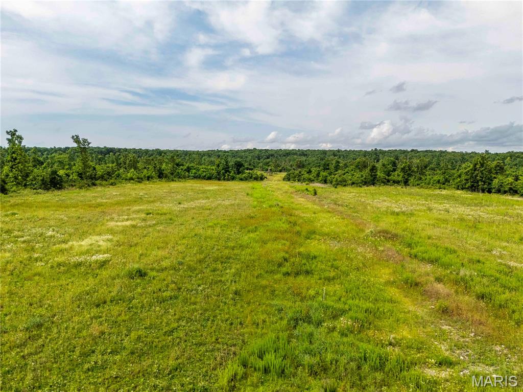 0 Abram Road Hartville, MO 65667 - Photo 81 of 97