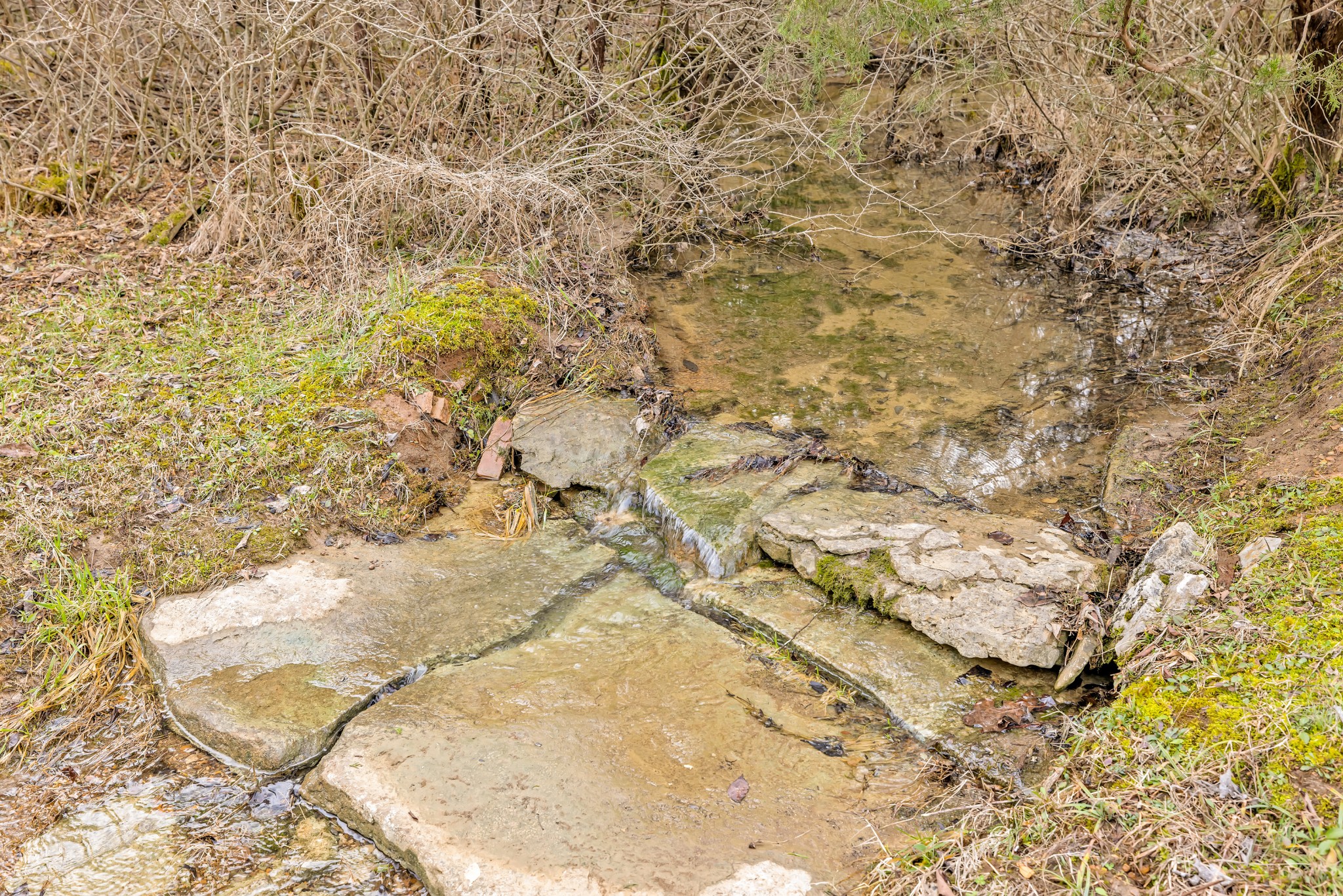 2934 Luke Moser Road Columbia, TN 38401 - Photo 46 of 70 Gallery Image 46