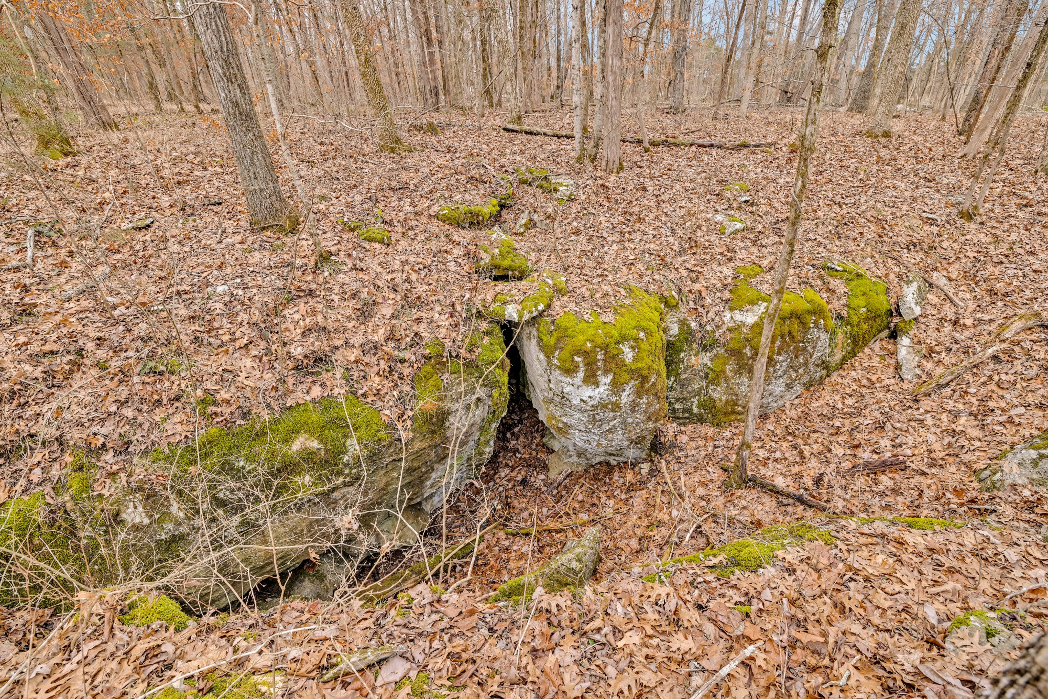 2934 Luke Moser Road Columbia, TN 38401 - Photo 54 of 70 Gallery Image 54