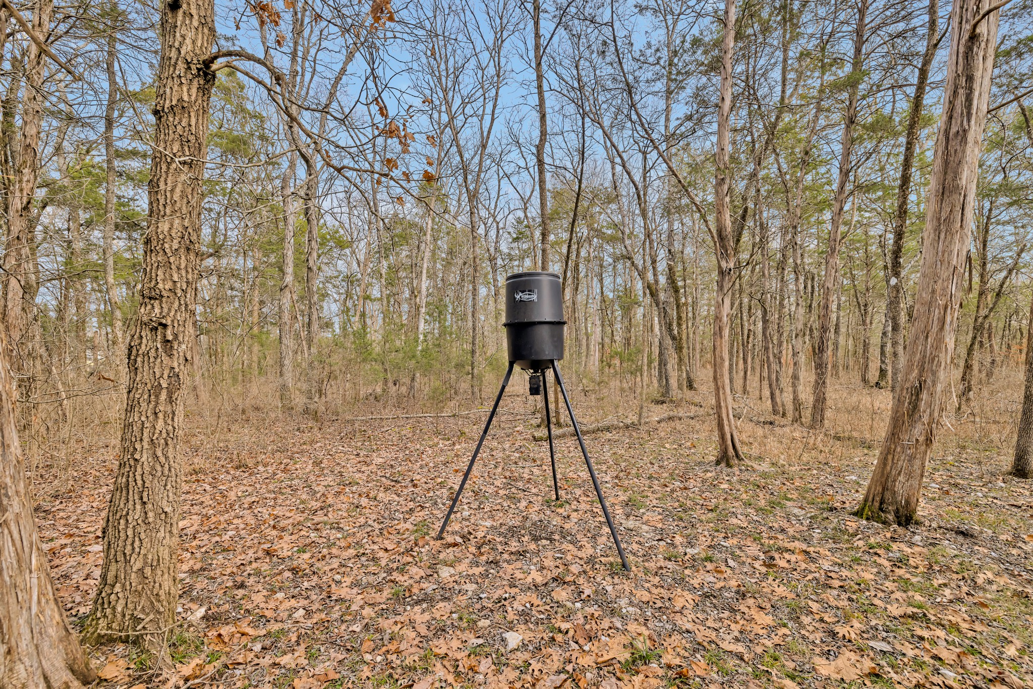 2934 Luke Moser Road Columbia, TN 38401 - Photo 57 of 70 Gallery Image 57