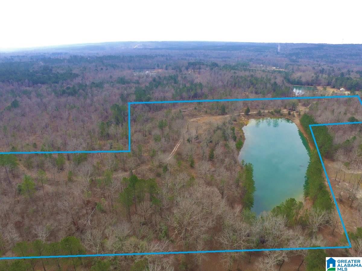 0 Melissa Robyn Road, Unit 1 Deatsville, AL 36022 - Photo 5 of 29