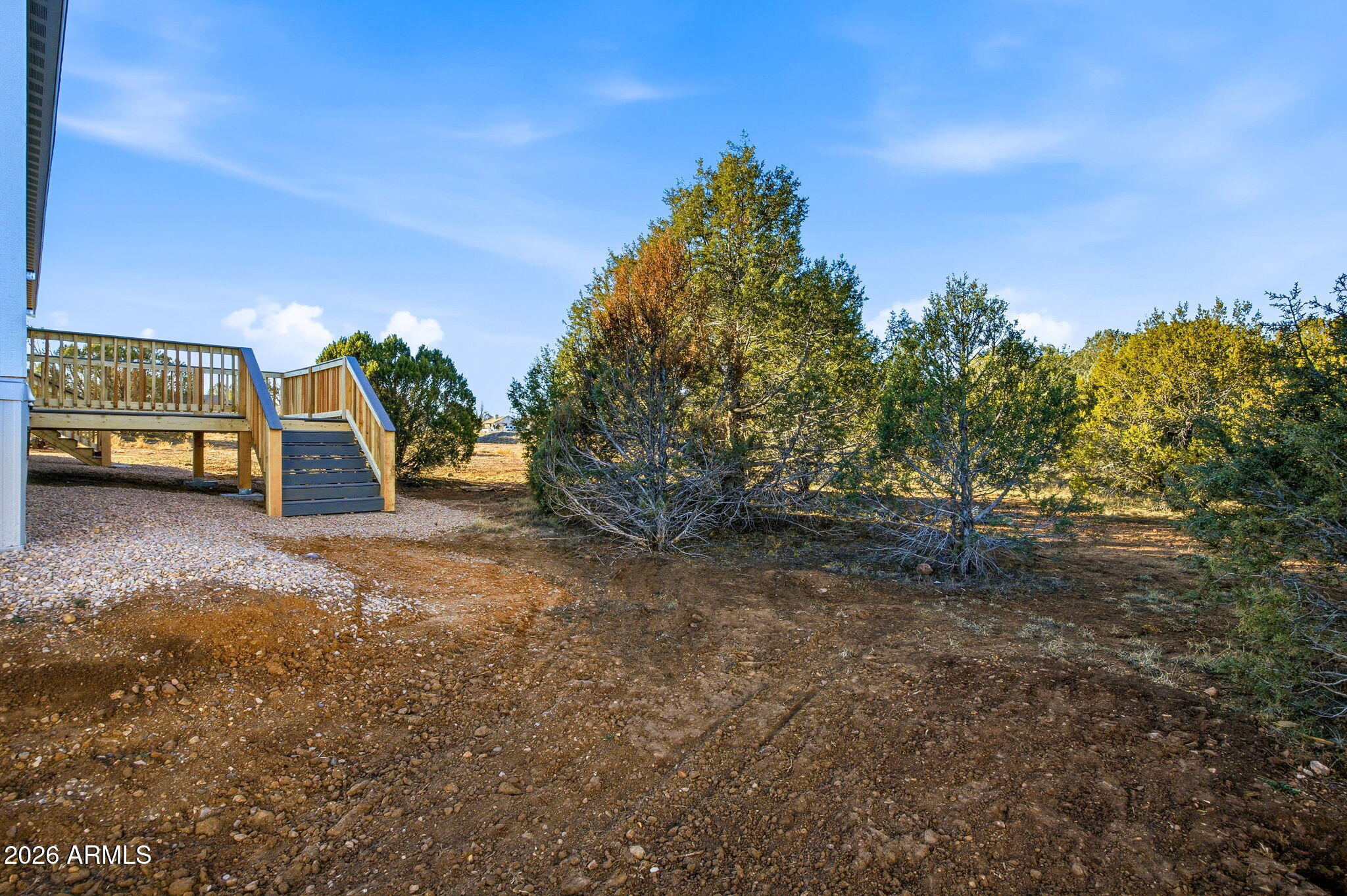 2146 Copper Road Clay Springs, AZ 85923 - Photo 7 of 30 a view of a yard with a tree