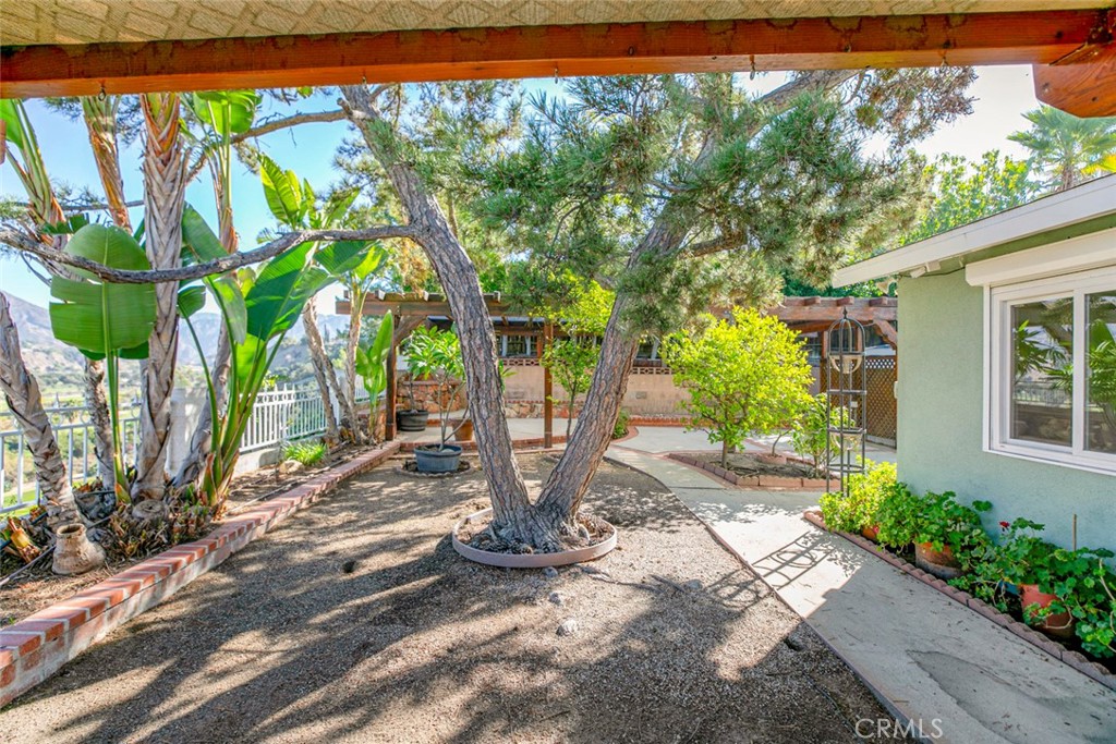 9071 Riderwood Drive Sunland, CA 91040 - Photo 26 of 46 a view of a backyard with plants and large trees