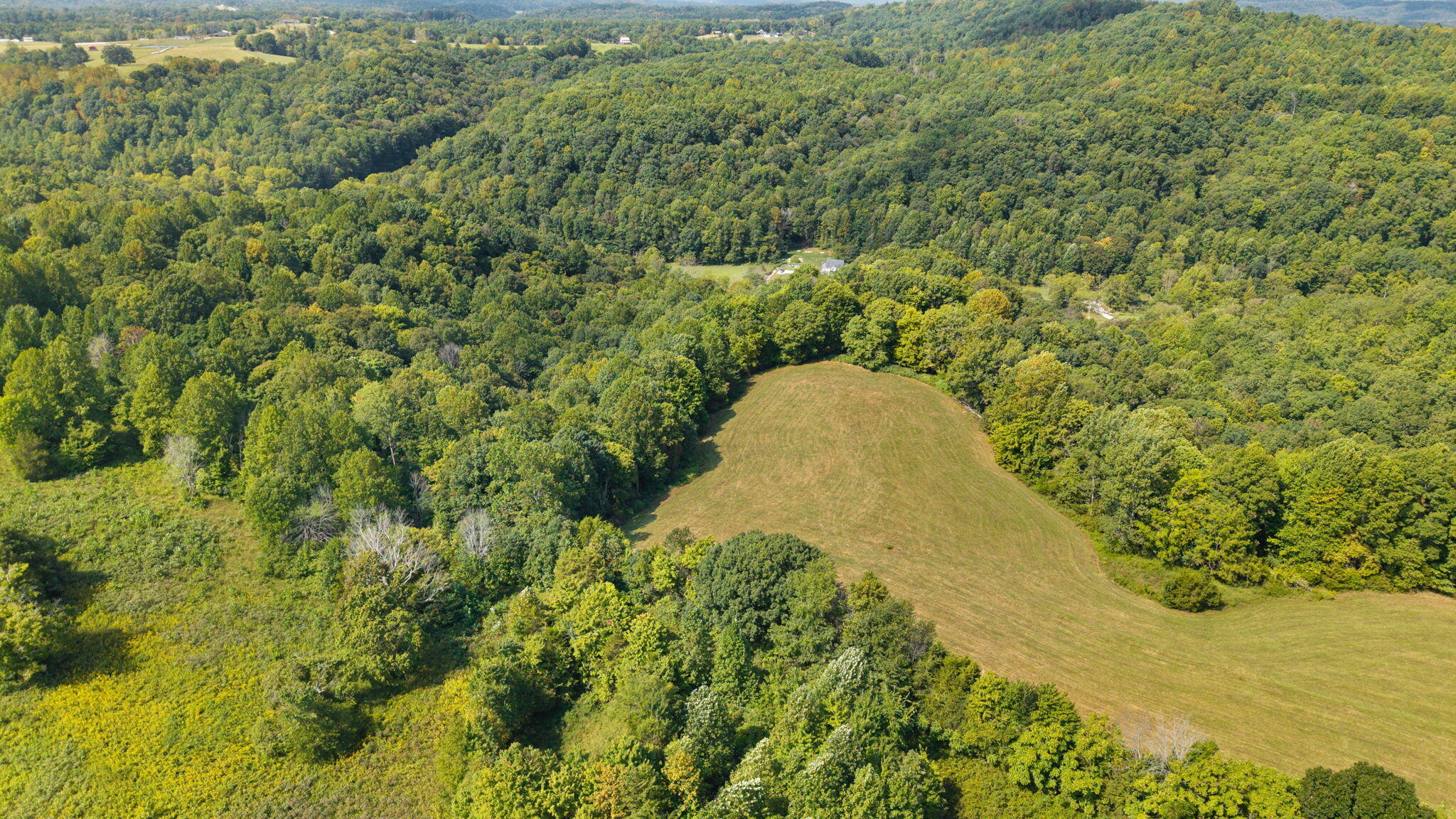 720 Snow Road Kings Mountain, KY 40442 - Photo 5 of 14 5-6 Snow Rd, Middleburg, KY