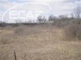 0 Almont Road Capac, MI 48014 - Photo 9 of 10 20429780-8.JPG