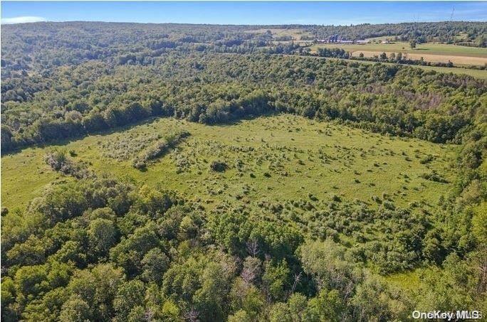 L8-111 Churches Rd Ridges Delanson, NY 12053 - Photo 11 of 29