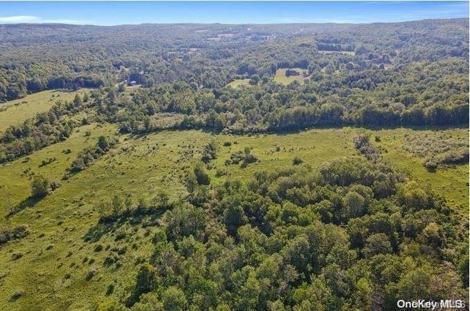 L8-111 Churches Rd Ridges Delanson, NY 12053 - Photo 12 of 29