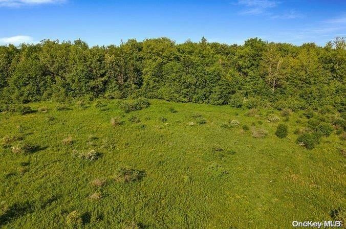 L8-111 Churches Rd Ridges Delanson, NY 12053 - Photo 15 of 29