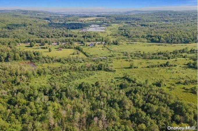 L8-111 Churches Rd Ridges Delanson, NY 12053 - Photo 17 of 29