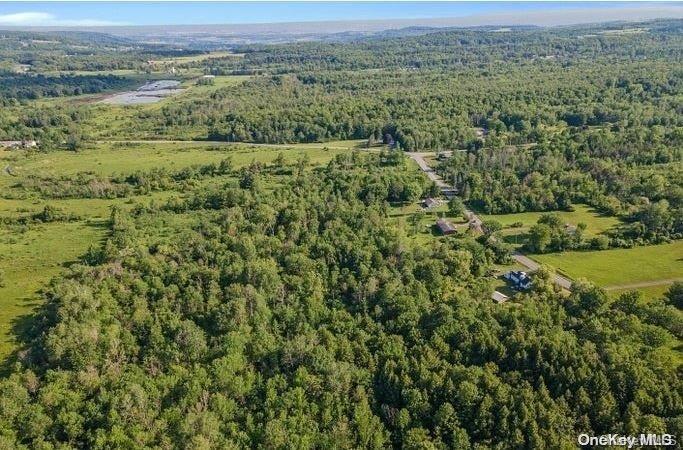 L8-111 Churches Rd Ridges Delanson, NY 12053 - Photo 19 of 29