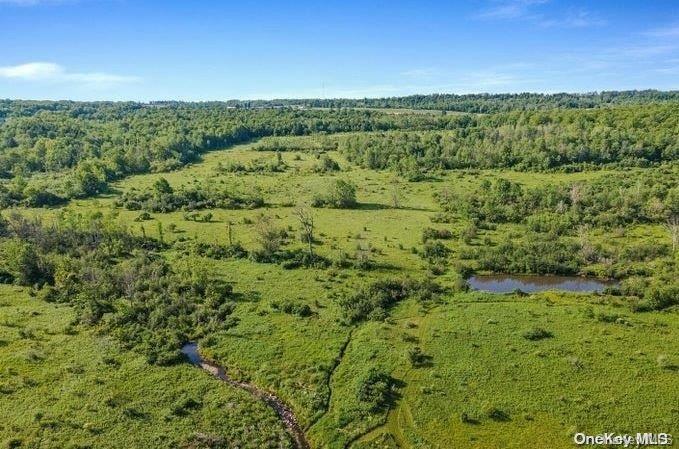 L8-111 Churches Rd Ridges Delanson, NY 12053 - Photo 23 of 29