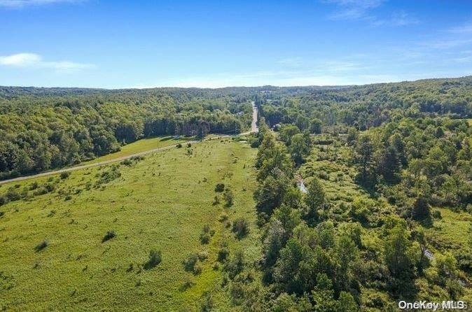 L8-111 Churches Rd Ridges Delanson, NY 12053 - Photo 24 of 29